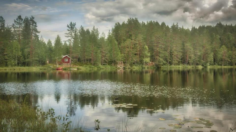 Lenke til artikkel: Høring: nedleggelse av demninger på Totenåsen